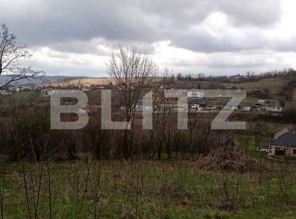 Teren de vânzare Feleacu - 63765TV | BLITZ Cluj-Napoca | Poza7