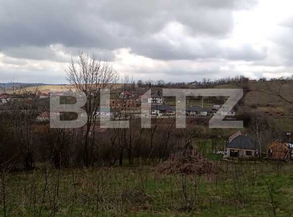 Teren de vânzare Feleacu - 63765TV | BLITZ Cluj-Napoca | Poza6