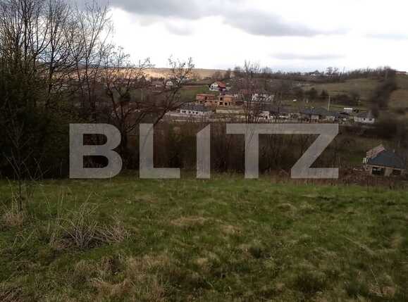 Teren de vânzare Feleacu - 63765TV | BLITZ Cluj-Napoca | Poza1