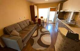 Apartament 3 camere, 60 mp, pet friendly, zona Sigma
