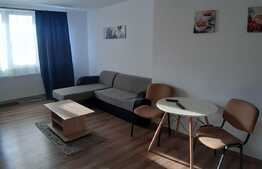 Apartament cu o camera, 30 mp, zona Teilor