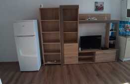 Apartament cu o camera, 30 mp, zona Teilor