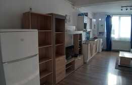 Apartament cu o camera, 30 mp, zona Teilor