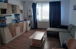 Apartament cu o camera, 30 mp, zona Teilor