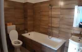 Apartament cu o camera, 30 mp, zona Teilor