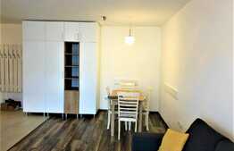 2 camere, 55 mp, parcare, terasa, totul nou, complex Luminia