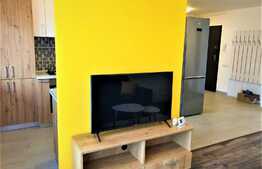 2 camere, 55 mp, parcare, terasa, totul nou, complex Luminia