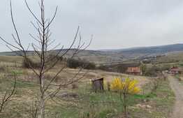 Exclusivitate! Teren intravilan, 2000 mp, zona Hub educational Borhanci Sopor  