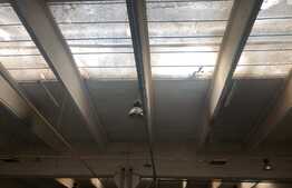 1726 mp, zona Clujana, 250 mp birouri incluse 