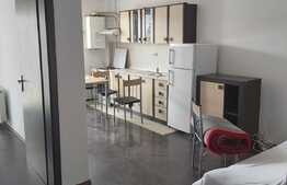 Oportunitate Blitz! 2 camere, etaj intermediar, 43 mp, balcon, Buna Ziua