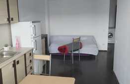 Oportunitate Blitz! 2 camere, etaj intermediar, 43 mp, balcon, Buna Ziua