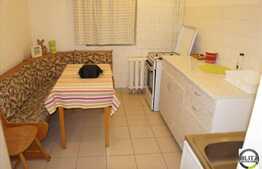 De inchiriat apartament 2 camere, 45 mp, zona Interservisan