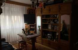Apartament 2 camere, 32 mp, Zona Gemenii