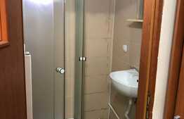 Apartament 1 camera, 20 mp, zona strazii Paris