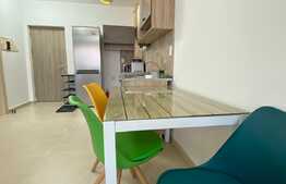 Garsoniera de lux, prima inchiriere, 40 mp, zona strazii Oasului 