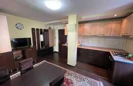 2 camere, semidecomandat, 63 mp, zona The Office