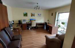 Spatiu de birouri, 40 mp, mobilat, zona strazii Albini