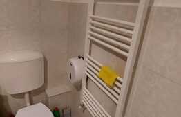 Spatiu de birouri, 40 mp, mobilat, zona strazii Albini