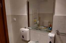 Spatiu de birouri, 40 mp, mobilat, zona strazii Albini