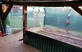 Apartament de 2 camere, la casa, curte de 30 mp, in Tractorul!