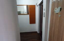 Apartament de 2 camere, la casa, curte de 30 mp, in Tractorul!