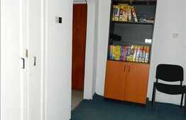 2 camere, 48 mp utili zona strazii Horea, Pret Oportun!