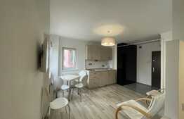 Garsoniera moderna, mobilata si utilata, cu nisa de dormit! 