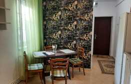 Oportunitate! 2 camere mobilat si utilat, curte, loc de parcare