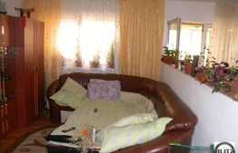Apartament cu 2 camere, 55 mp, cu curte privata, zona Somesului