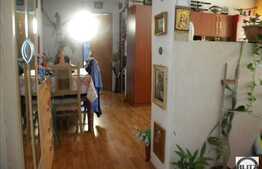 Apartament cu 2 camere, 55 mp, cu curte privata, zona Somesului