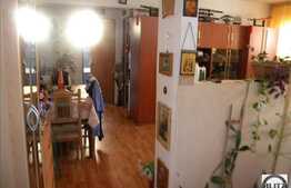 Apartament cu 2 camere, 55 mp, cu curte privata, zona Somesului