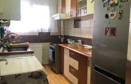 Apartament 2 camere, 42 mp, zona Astra 