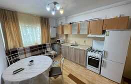 1 camera, 35 mp, semidecomandat, zona Calea Turzii 