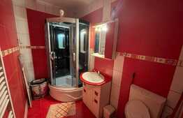 1 camera, 35 mp, semidecomandat, zona Calea Turzii 