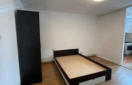 Garsoniera, 30 mp, decomandata, zona Pietei Flora