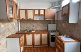 Garsoniera, 30 mp, decomandata, zona Pietei Flora