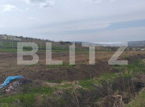 Teren de vânzare Sopor - 63957TV | BLITZ Cluj-Napoca | Poza2