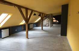 Spatiu pentru alimentatie publica, 122 mp, finisat modern, zona ultracentrala