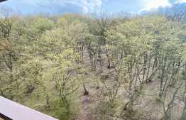 Iti doresti un apartament cu 4 camere cu view catre padure? Ai gasit!