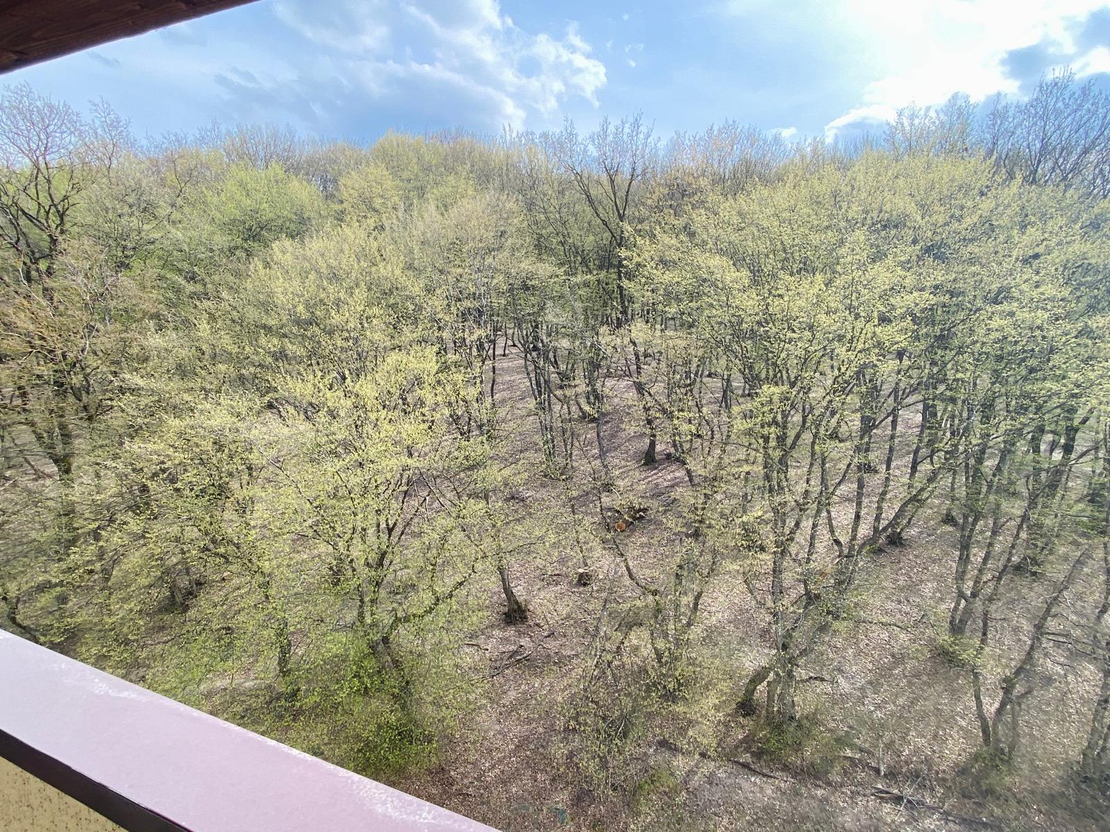 Apartament de închiriat 4 camere Manastur - 63966AI | BLITZ Cluj-Napoca | Poza14