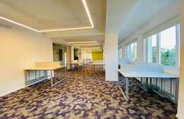 Cladire de birouri, 50-652 mp, se inchiriaza integral sau pe nivele, COMISION 0%