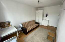 Apartament de 1 camera, Pet-Friendly, semidecomandat, zona Iulius-Mall