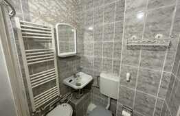 Apartament de 1 camera, Pet-Friendly, semidecomandat, zona Iulius-Mall