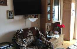 Garsoniera semidecomandata, 22 mp in zona Strazii Rasaritului