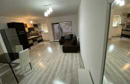 2 camere, orientare sudica, 45 mp., zona Teilor