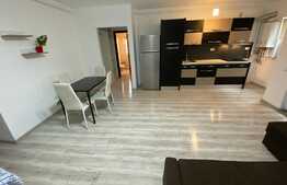 2 camere, orientare sudica, 45 mp., zona Teilor