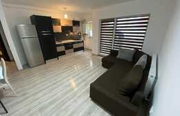 2 camere, orientare sudica, 45 mp., zona Teilor