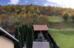 Casa individuala cu 4 dormitoare in zona Aerodromului Dezmir; 500 mp teren!