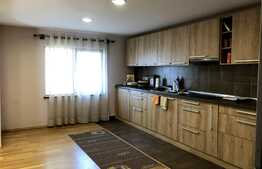 Casa individuala cu 4 dormitoare in zona Aerodromului Dezmir; 500 mp teren!