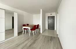 Apartament cu o camera, panorama, 45 mp, CF